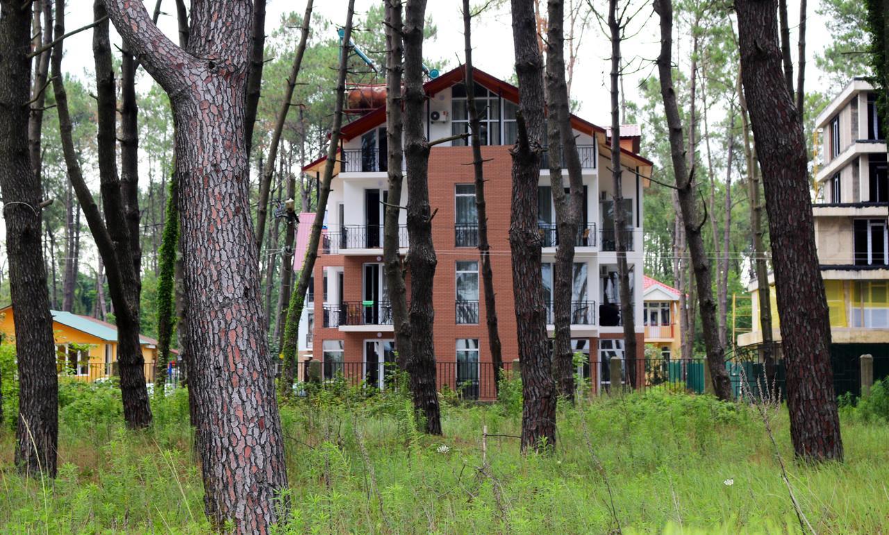 Hotel Gina Shekvetili Exterior foto